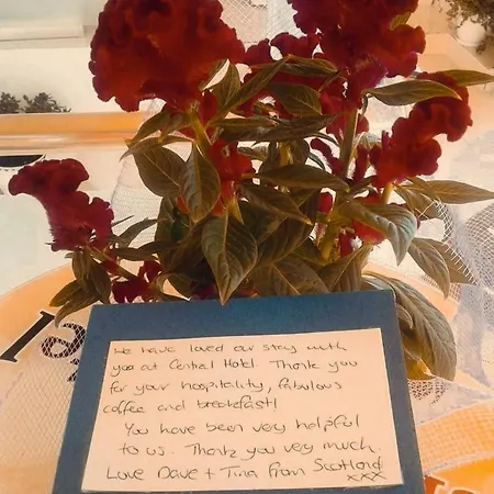 Hotel Tirana Central Guesthouse Tirana