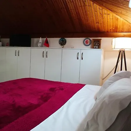 Tirana Central Guesthouse מלון טיראנה